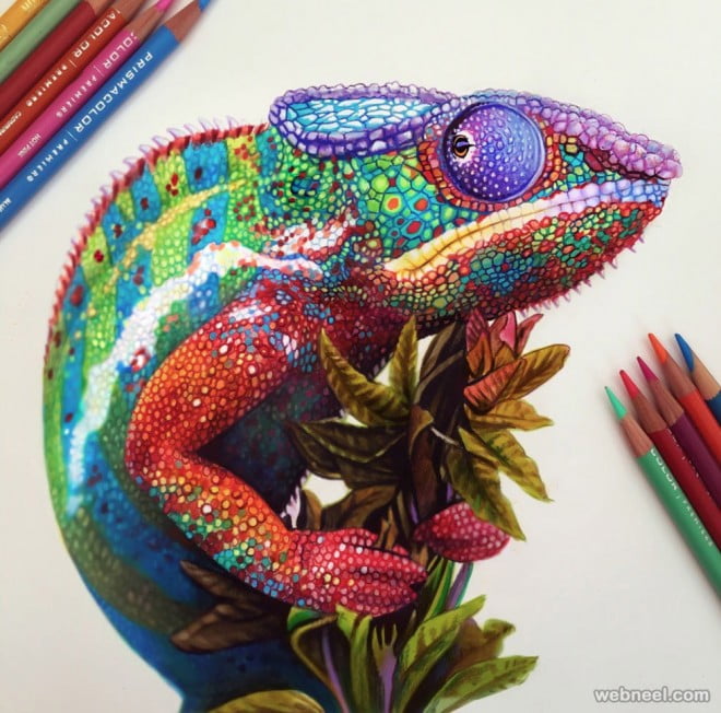 Chameleon