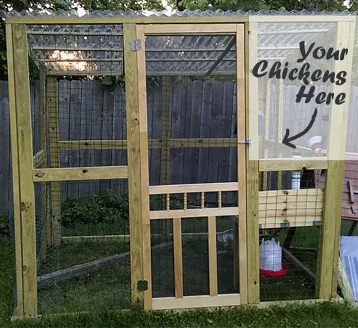 Building A Medium Chicken Run 