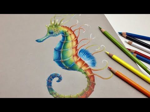 Seahorse drawing