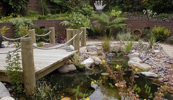 Water Garden With Wooden Bridge