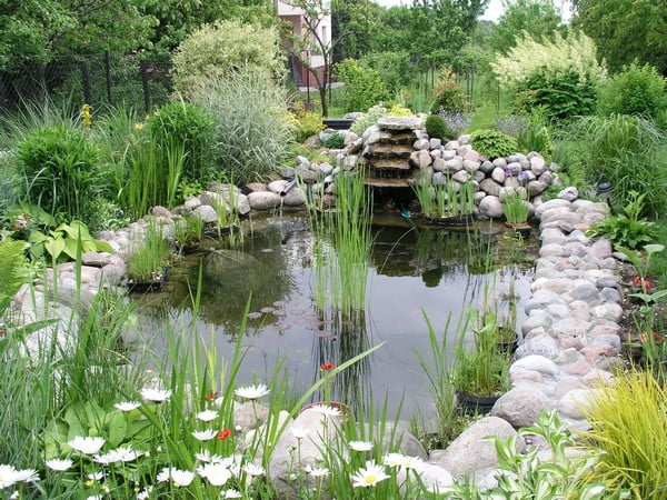 Natural Water Feature With Rock Edging