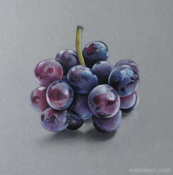 Grapes drawing