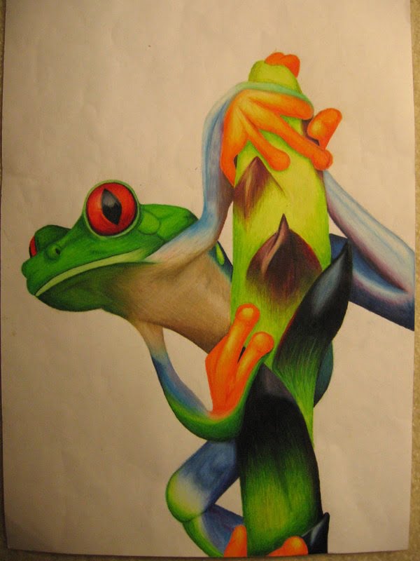 Dismayed Frog drawing