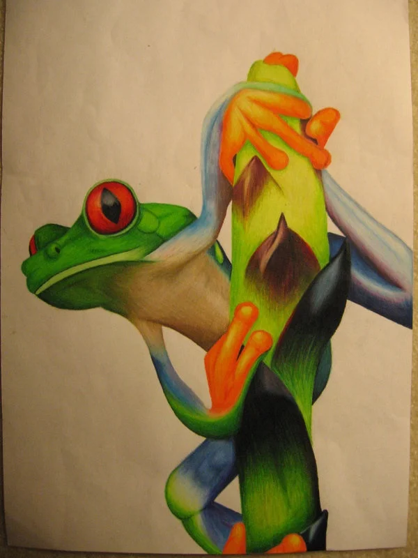 Get Inspired to Try Colored Pencils With Realistic Color Pencil