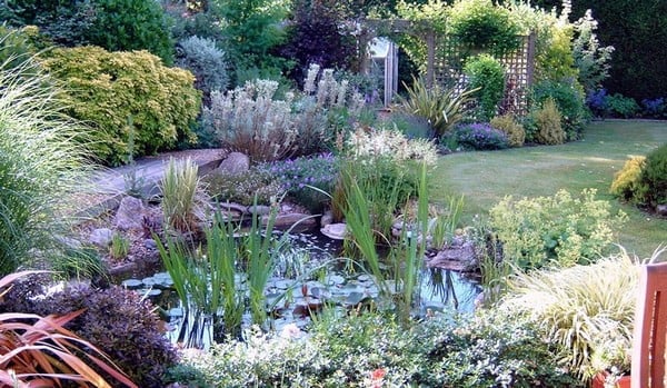 Garden Filled Pond