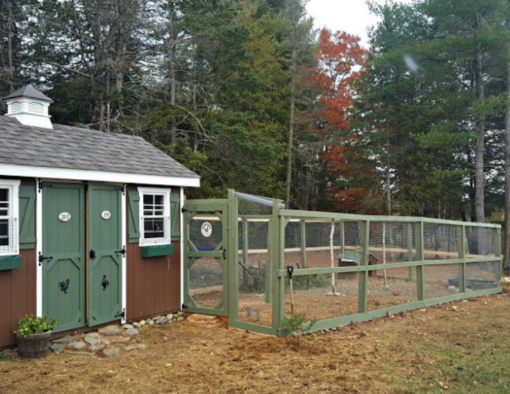 Building a Large Chicken Run 