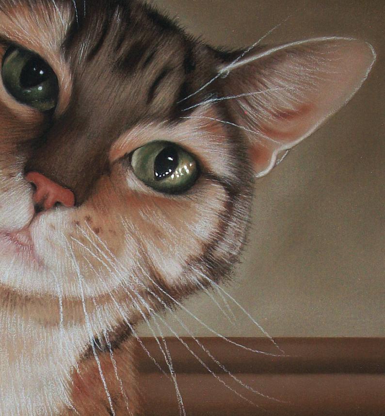 Custom Pastel Cat Drawing
