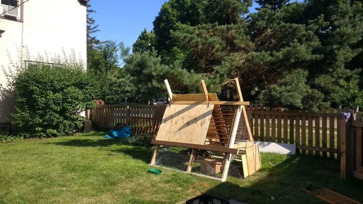 A-Frame chicken coop