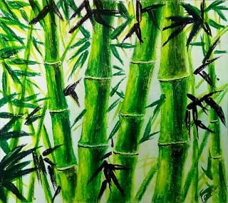 Bamboo Landscape Drawing 