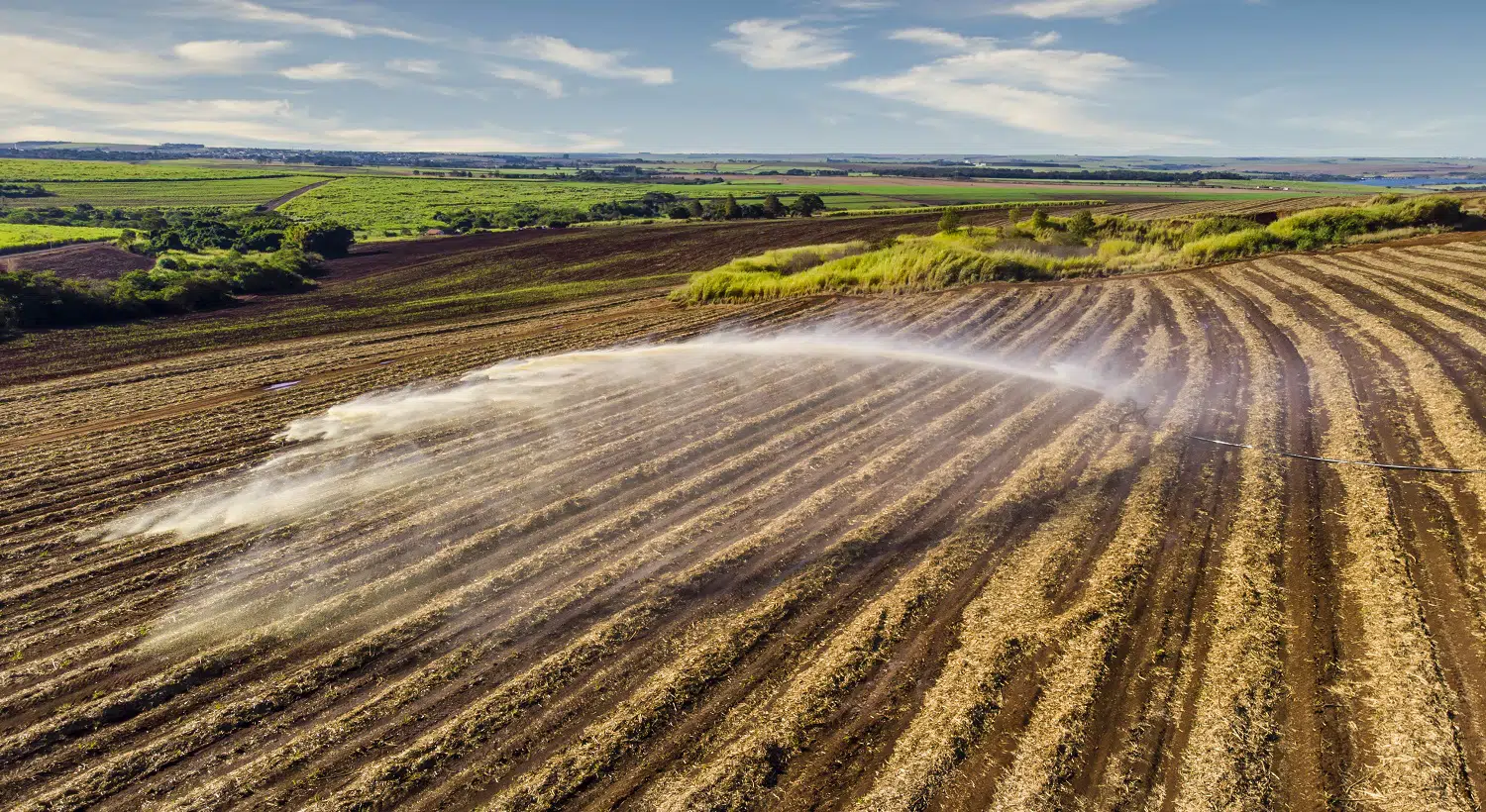 Soil treatment in sugarcane plantation. vinhoto nutritive substance , aerial view. Revive Organic Soil Treatment Granules