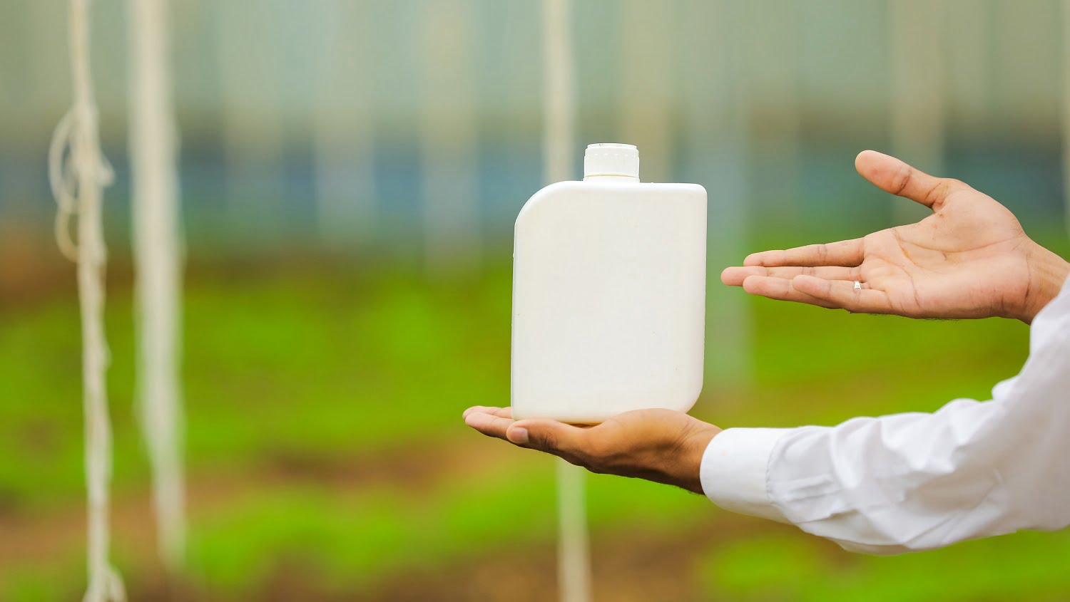 Young agronomist holding bottle in hand at greenhouse