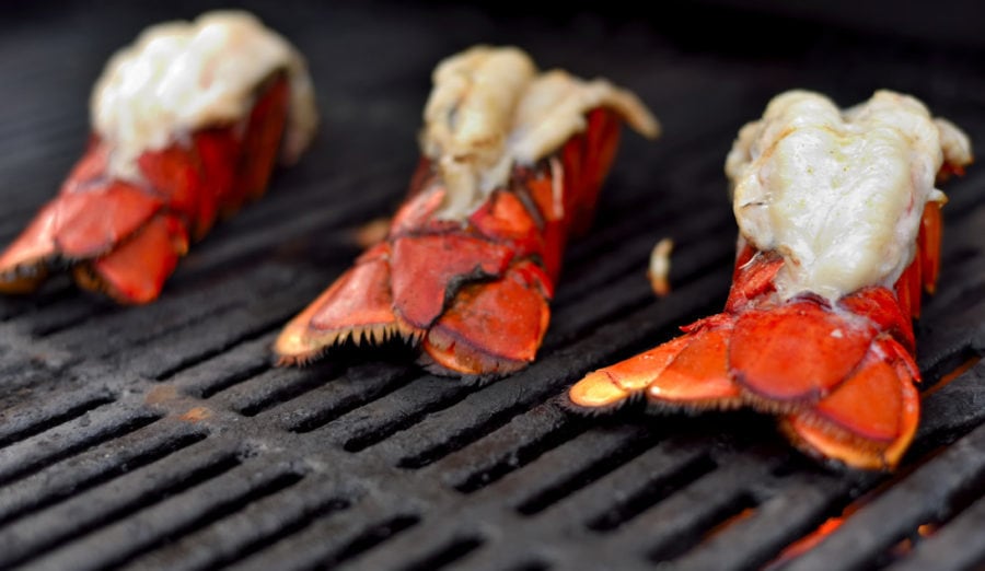 Grilled Lobsters