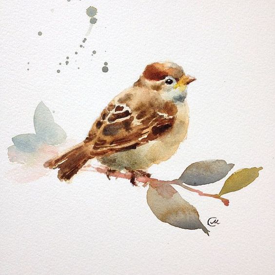 Sparrow 