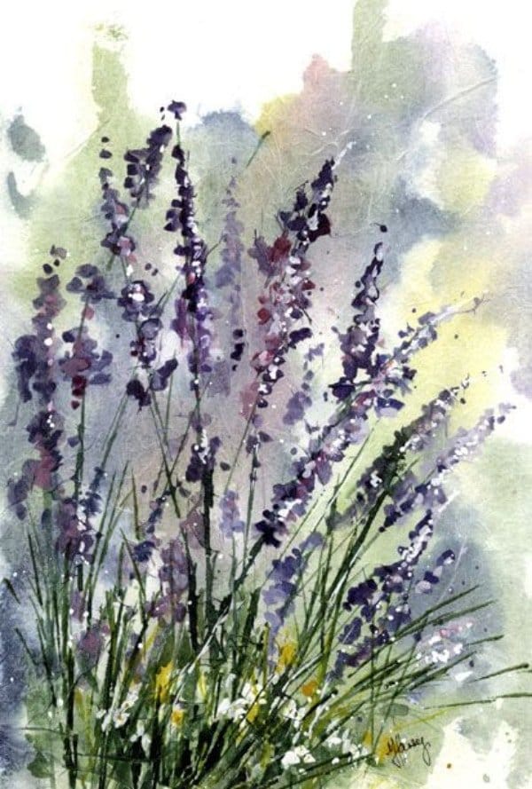 Florals lavender painting in watercolor