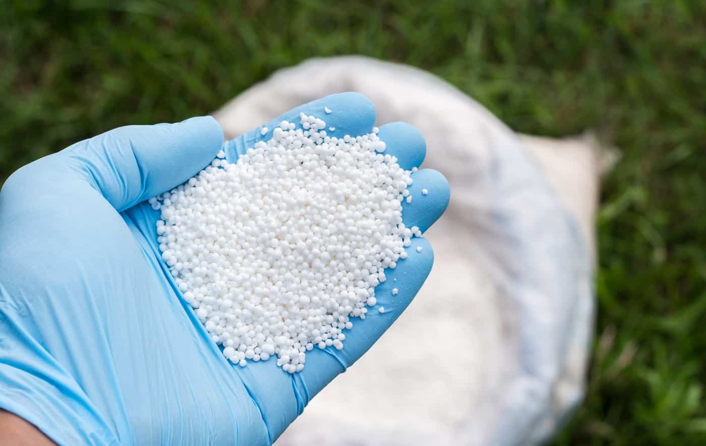 Farmer`s hand in blue glove holds white granular fertilizer against a green lawn and a bag on it