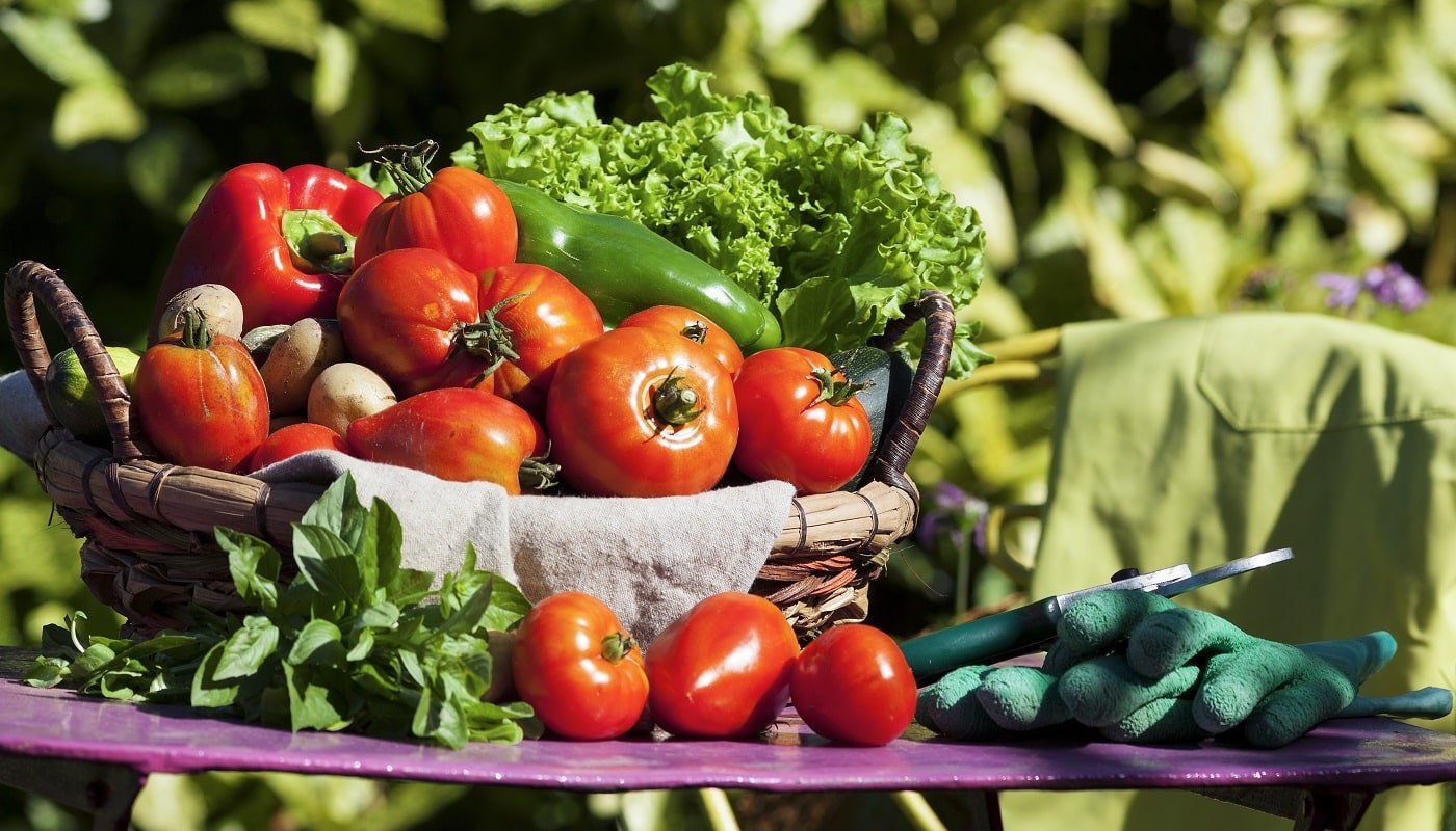 Some vegetables in a basket under sunlight