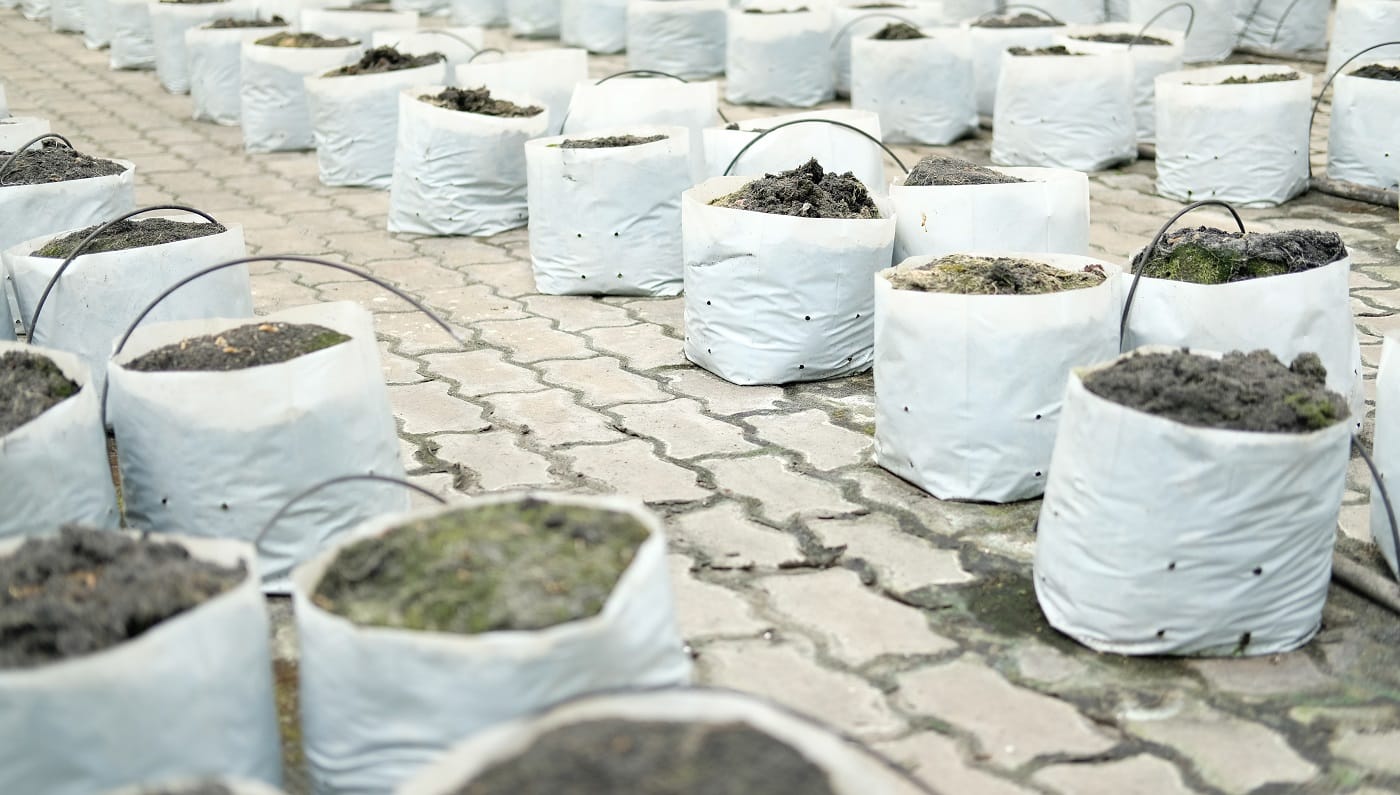 soil &amp; fertilizer in planting bag for growing transplanting plant seedling in farm