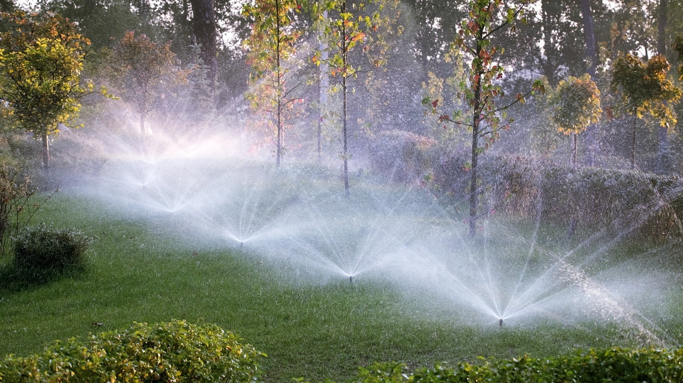 The automatic watering system irrigates lawn grass and other plants in the park at dawn. The sun's rays break through the branches of trees.