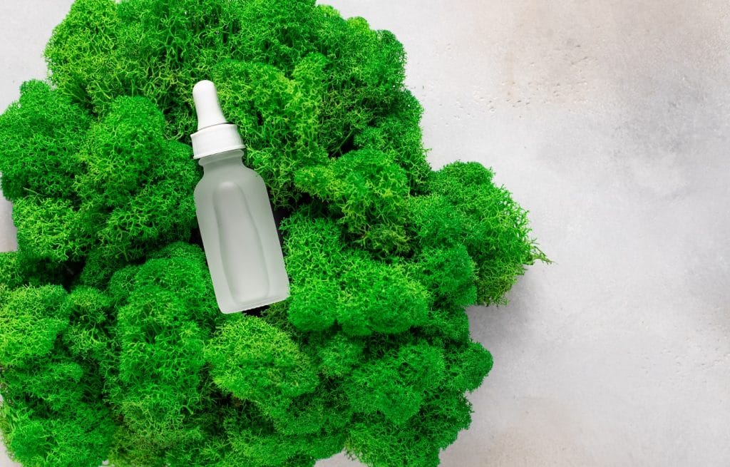 10 Best Moss Killer For Lawn Reviews + Guide