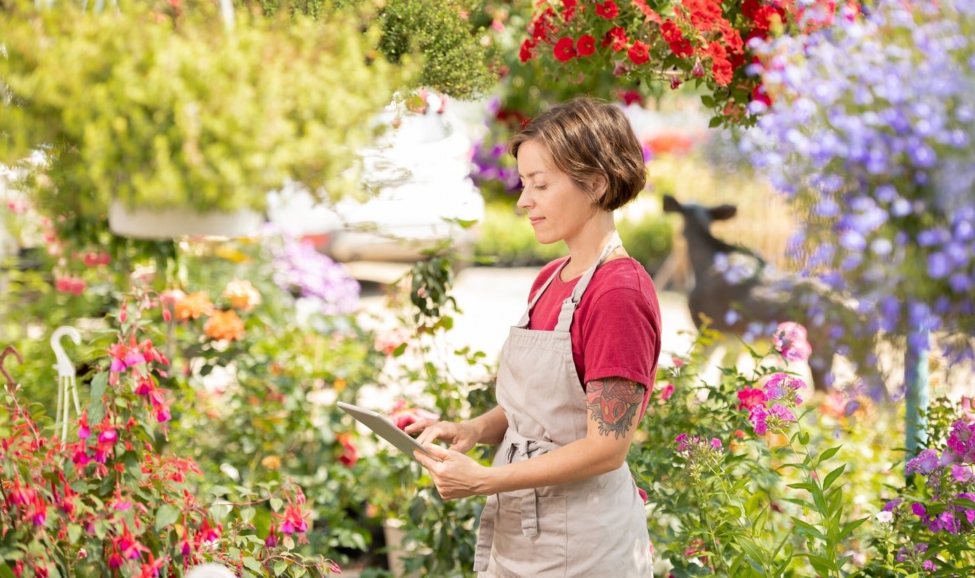 Young female entrepreneur in apron looking at tablet display while reading online data about plants