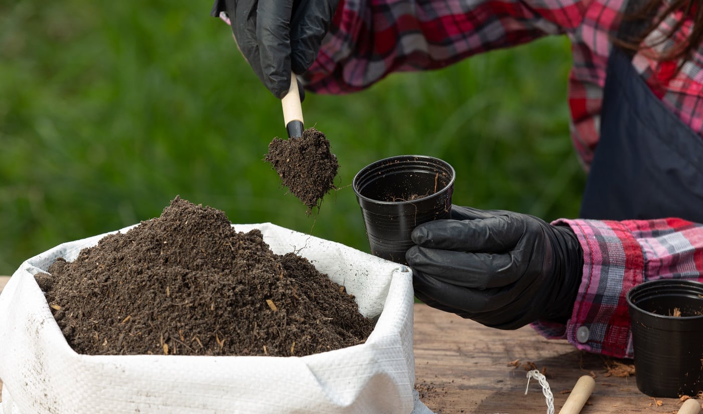 Closeup picture of Gardener's Hands Planting Plant