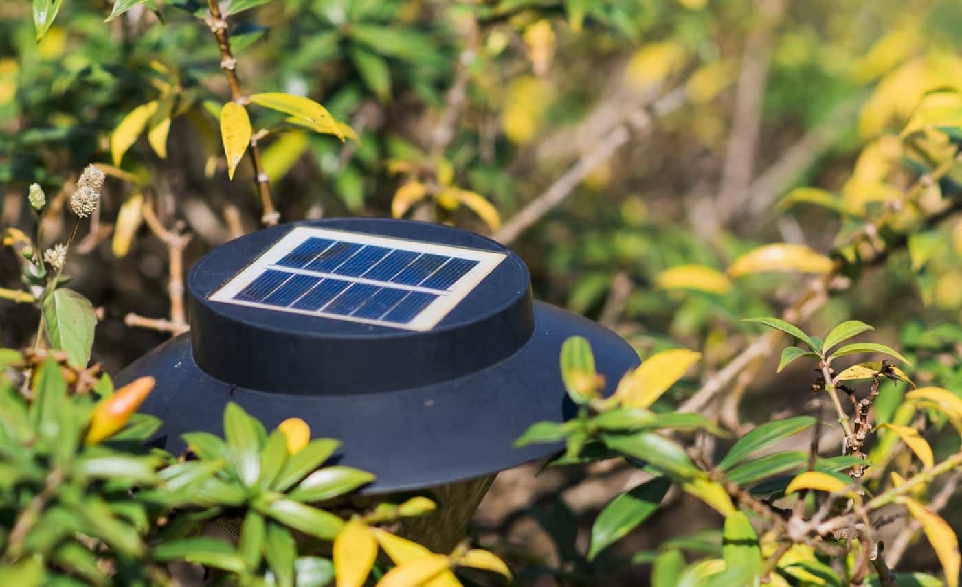 Solar cell lamp at garden