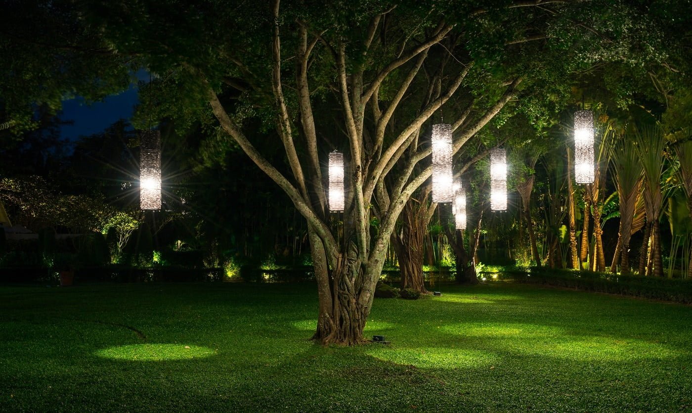 tree with lamp lighting in garden