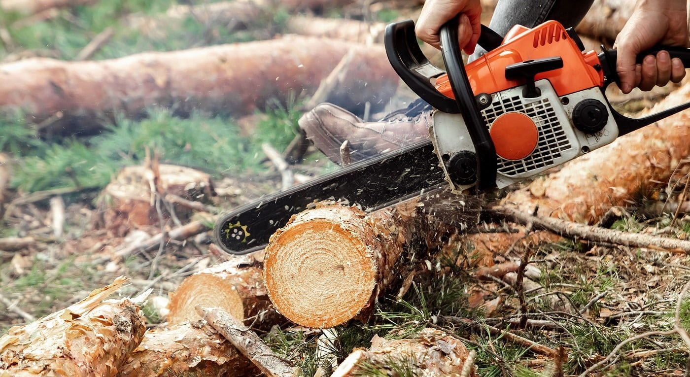 Professional chainsaw close up, logging. Cutting down trees, forest destruction. The concept of industrial destruction of trees, causing harm to the environment.