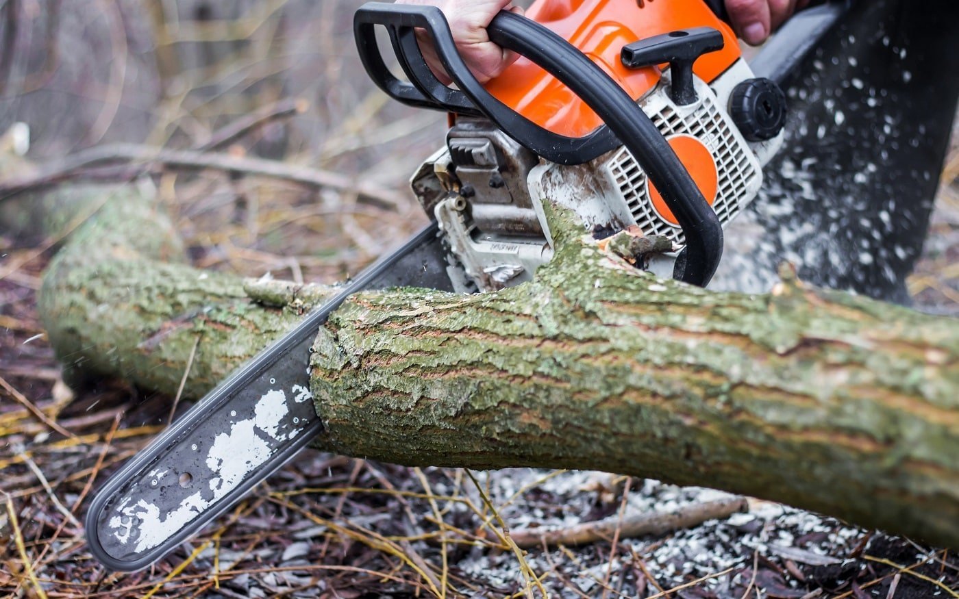 A man using a chainsaw saws a log in a forest
