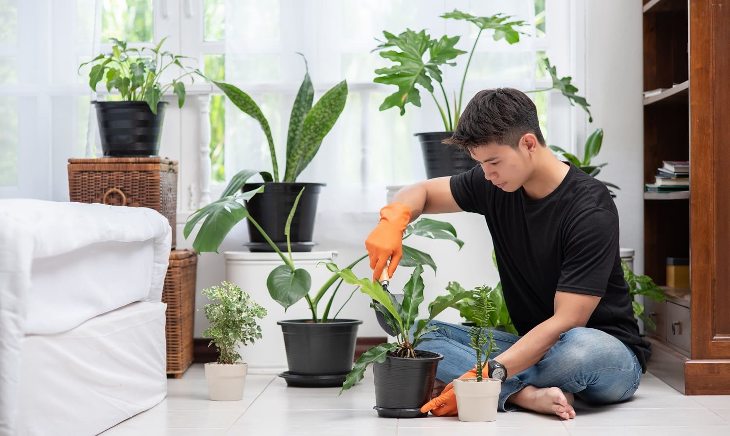 Men wearing orange gloves and planting trees indoors.