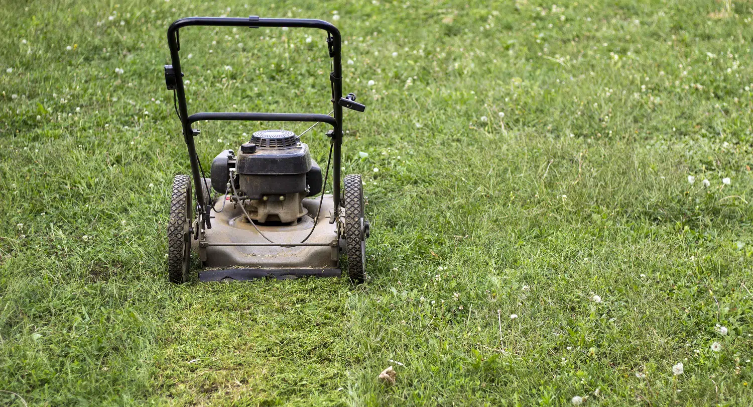 Mowing or cutting the long grass with a green lawn mower in the summer sun