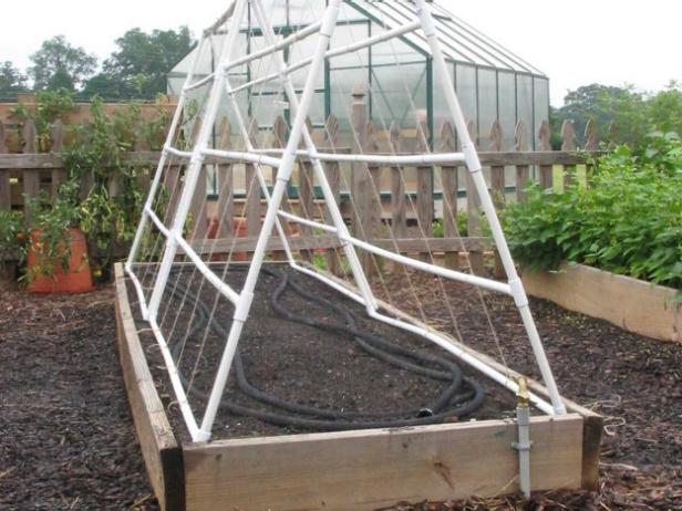 PVC Pipe Trellis