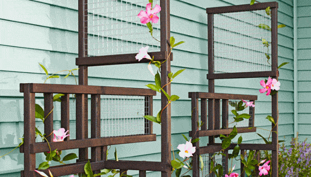 Creative Trellis