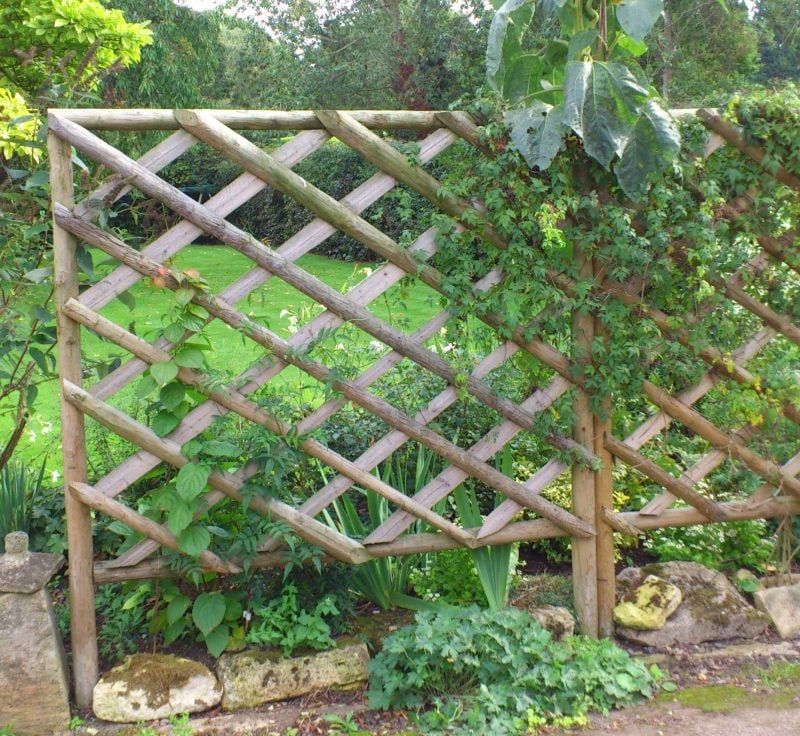 Rustic Trellis