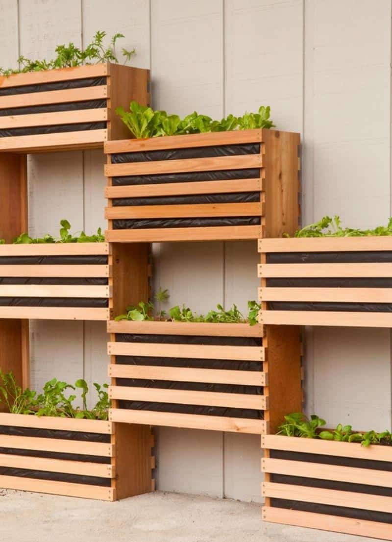 Minimalist Wood Garden