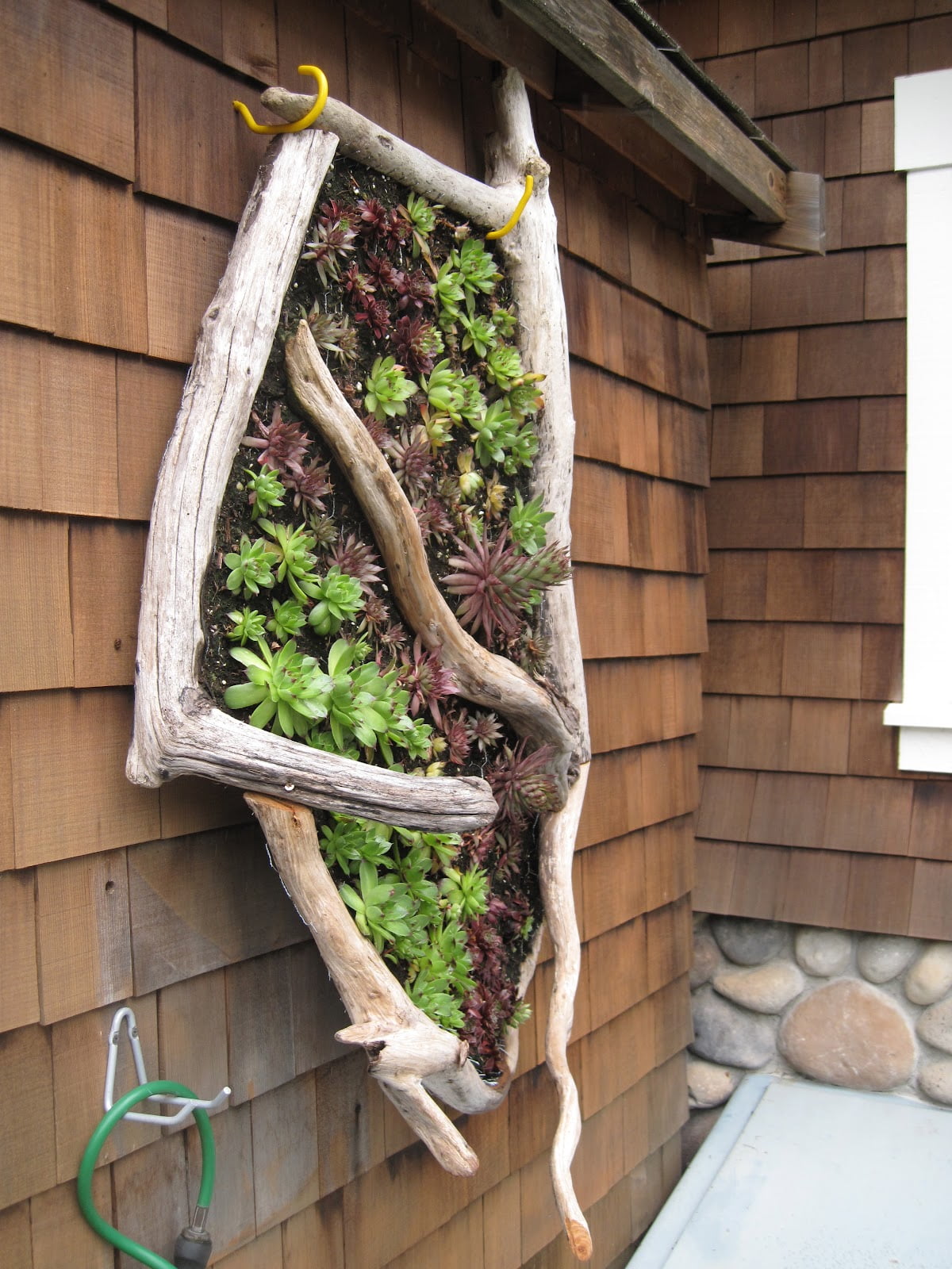 Driftwood Sculpture