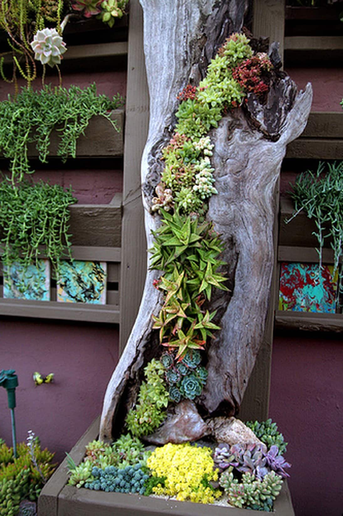 Tree Trunk Planter