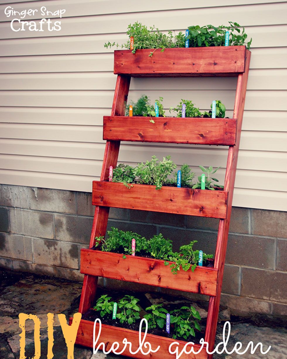 Bookshelf Garden