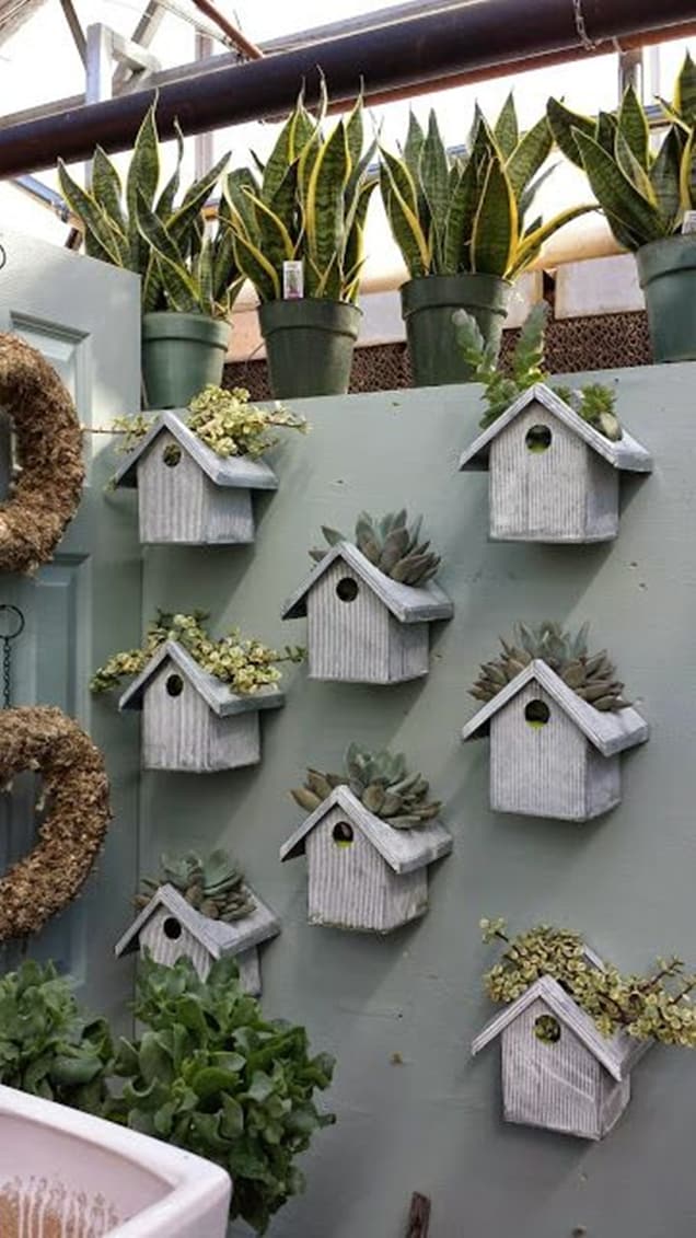 Birdhouse Garden