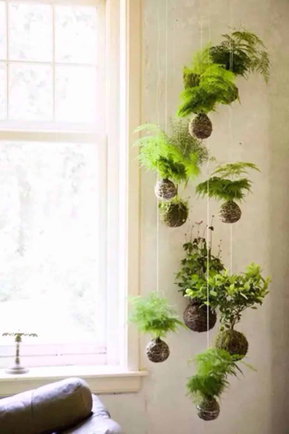 Exposed Root Vertical Garden