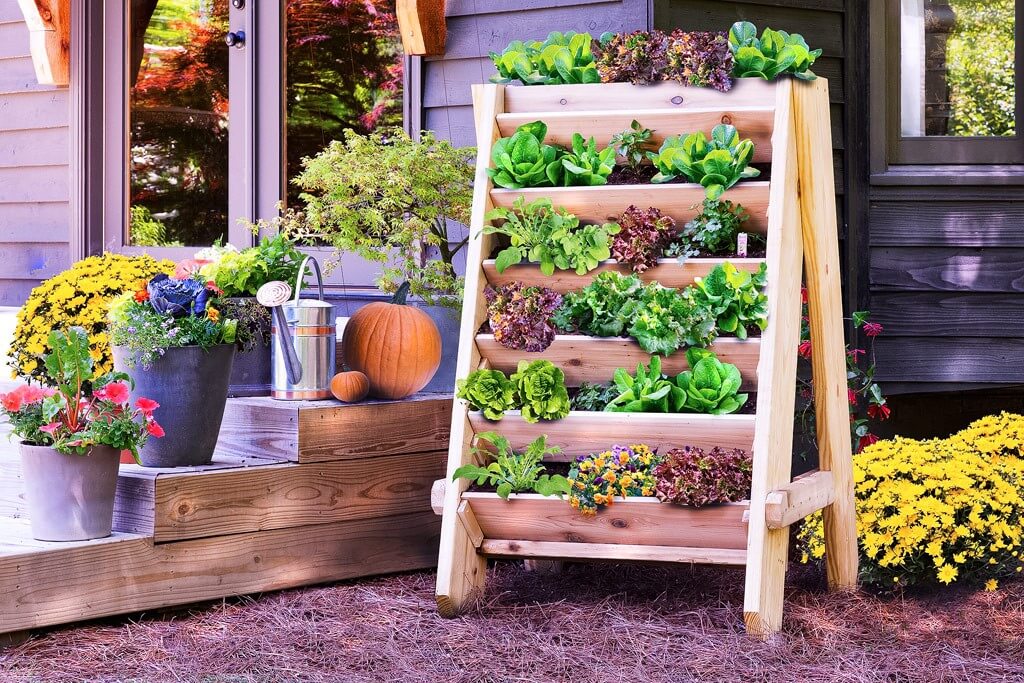 Ladder Garden