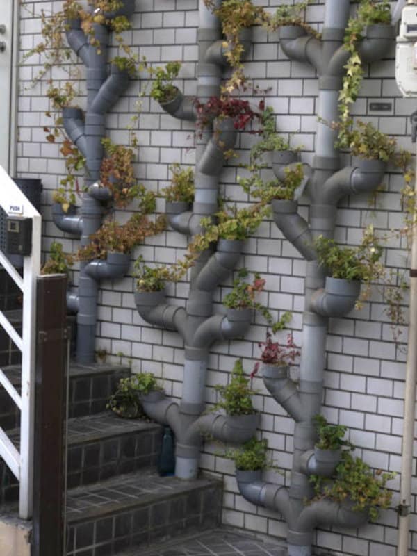 Plumbing Pipe Garden