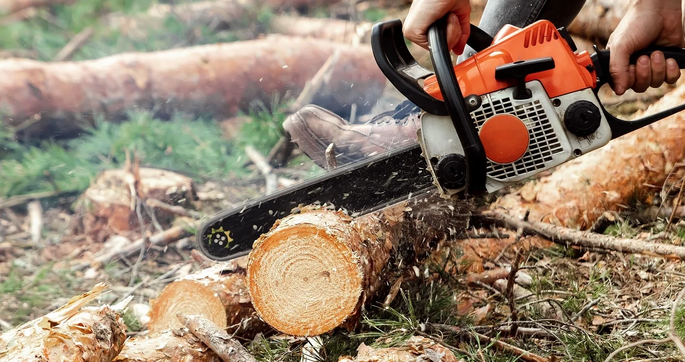 Professional chainsaw close up, logging. Cutting down trees, forest destruction. The concept of industrial destruction of trees, causing harm to the environment.