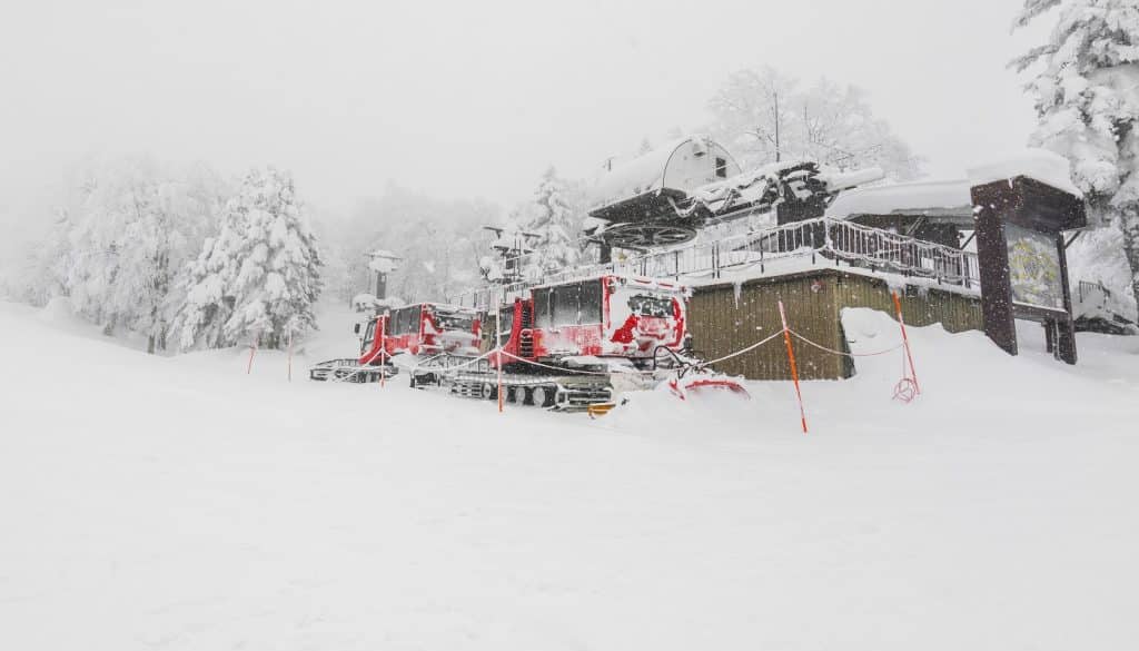 Best Commercial Grade Snow Blowers Reviews + Guide