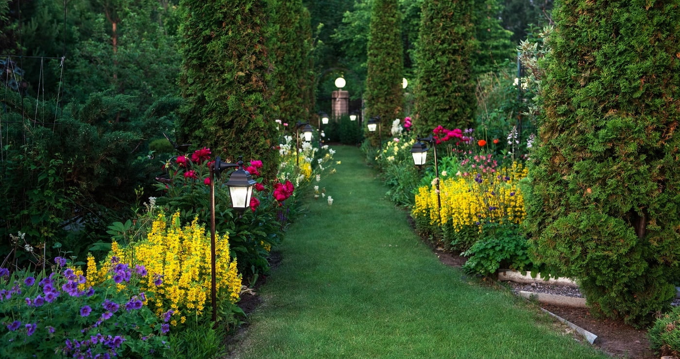 Beautiful flowers and trees landscape in the botanical garden in beauty summer evening. Horizontal orientation