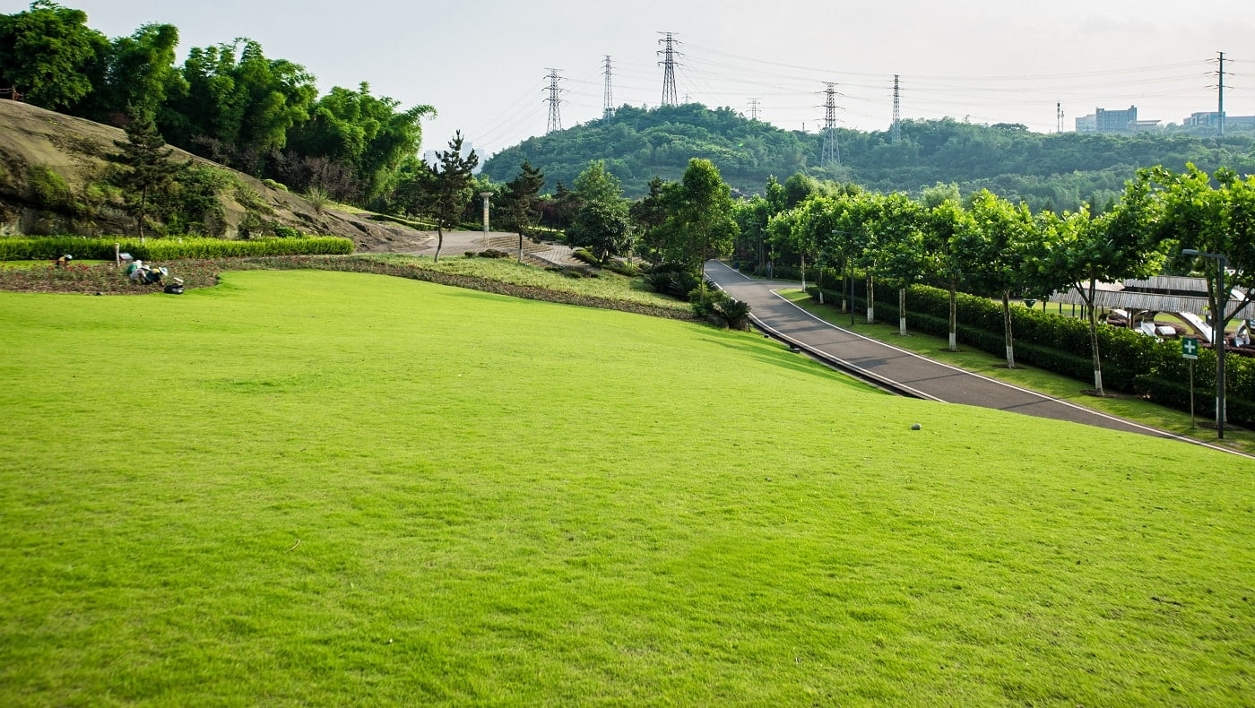 Grassland landscape and greening environment park background