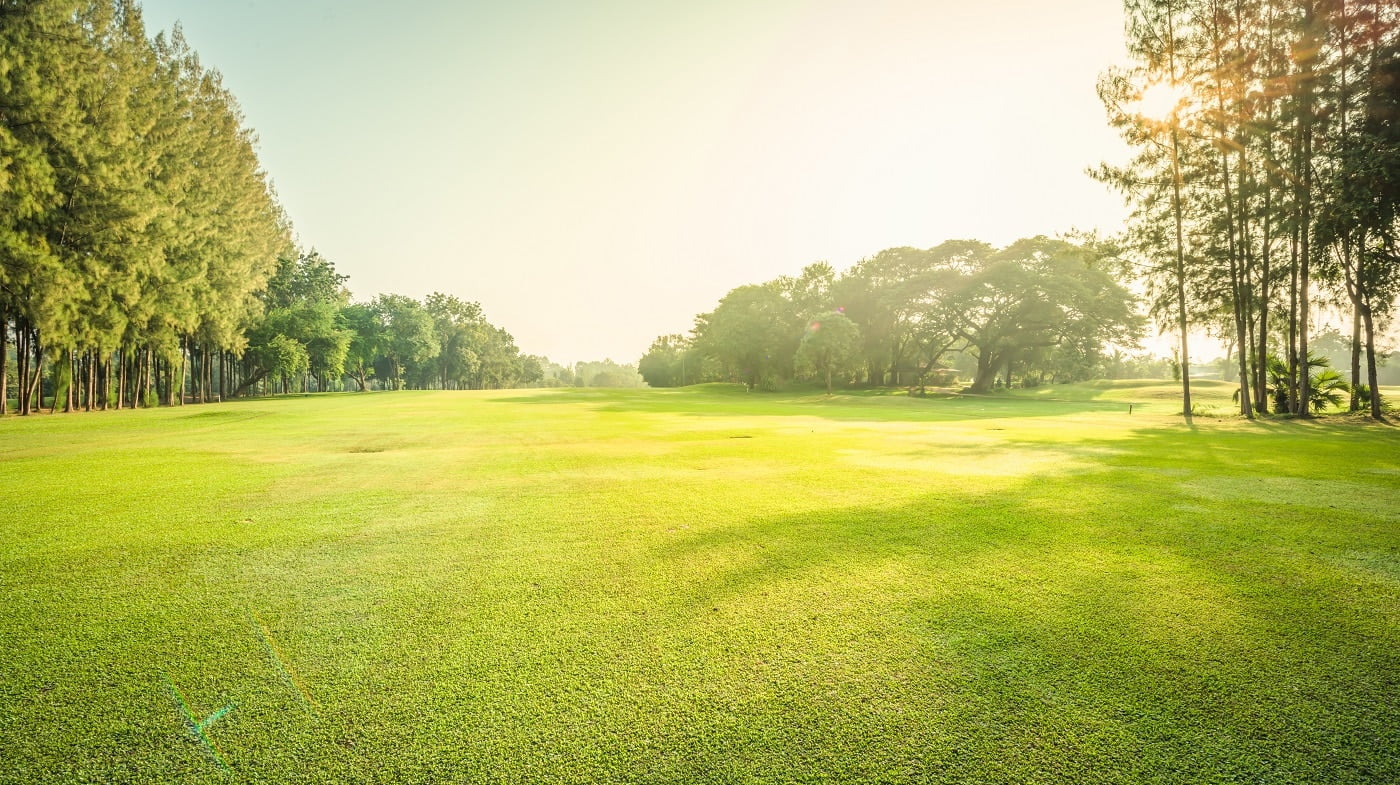 Scenery green golf and meadow with sunbeam in morning, Wonderful sunbeam at the natural park, Scenery fairway with trees and green grass field