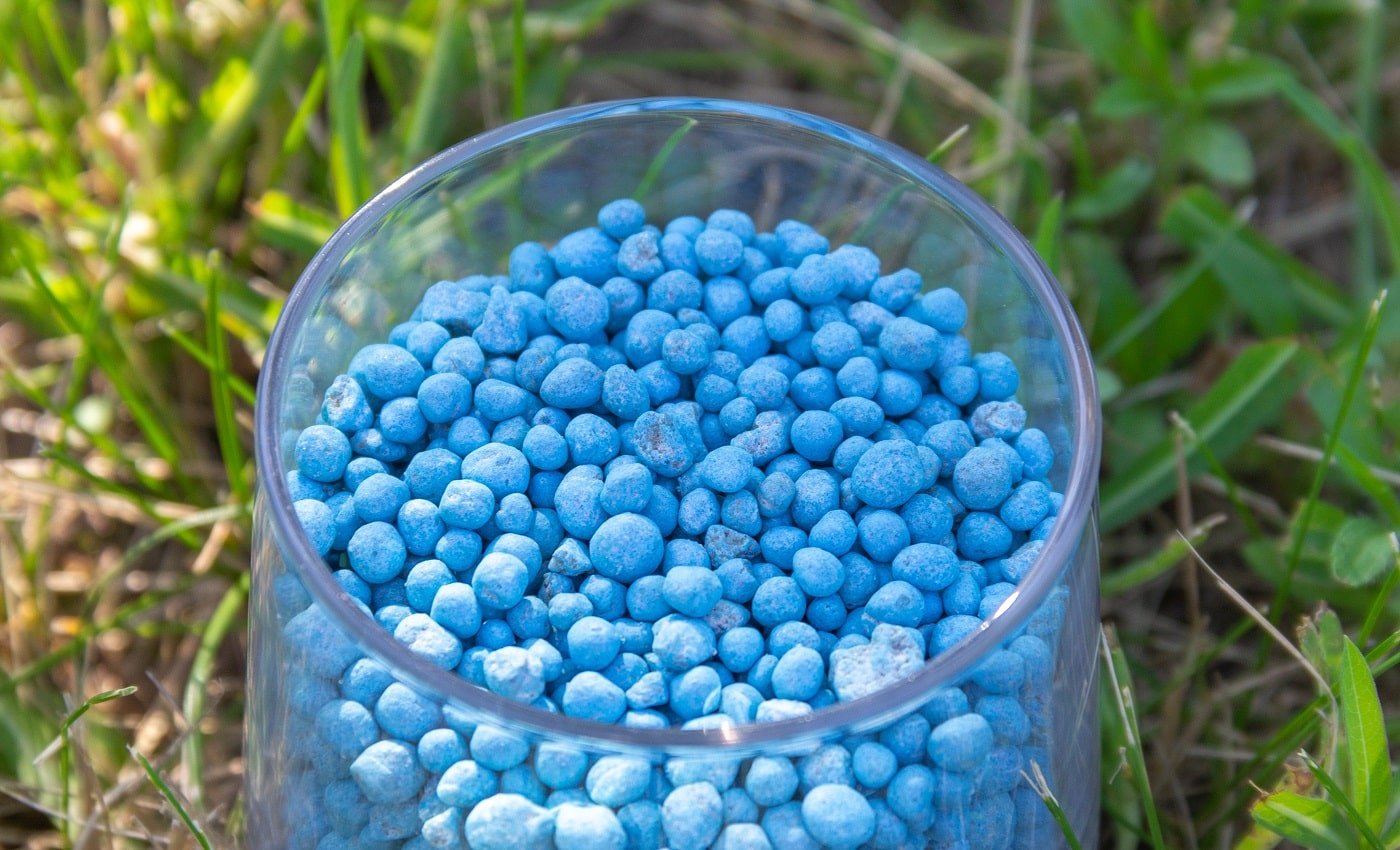 Blue different shape chemical fertilizer granules in glass on green grass. High quality photo