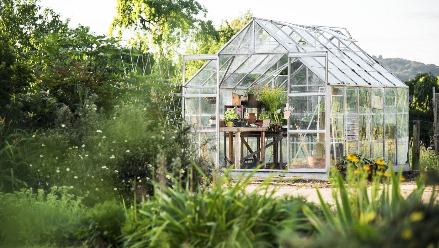 Glass greenhouse