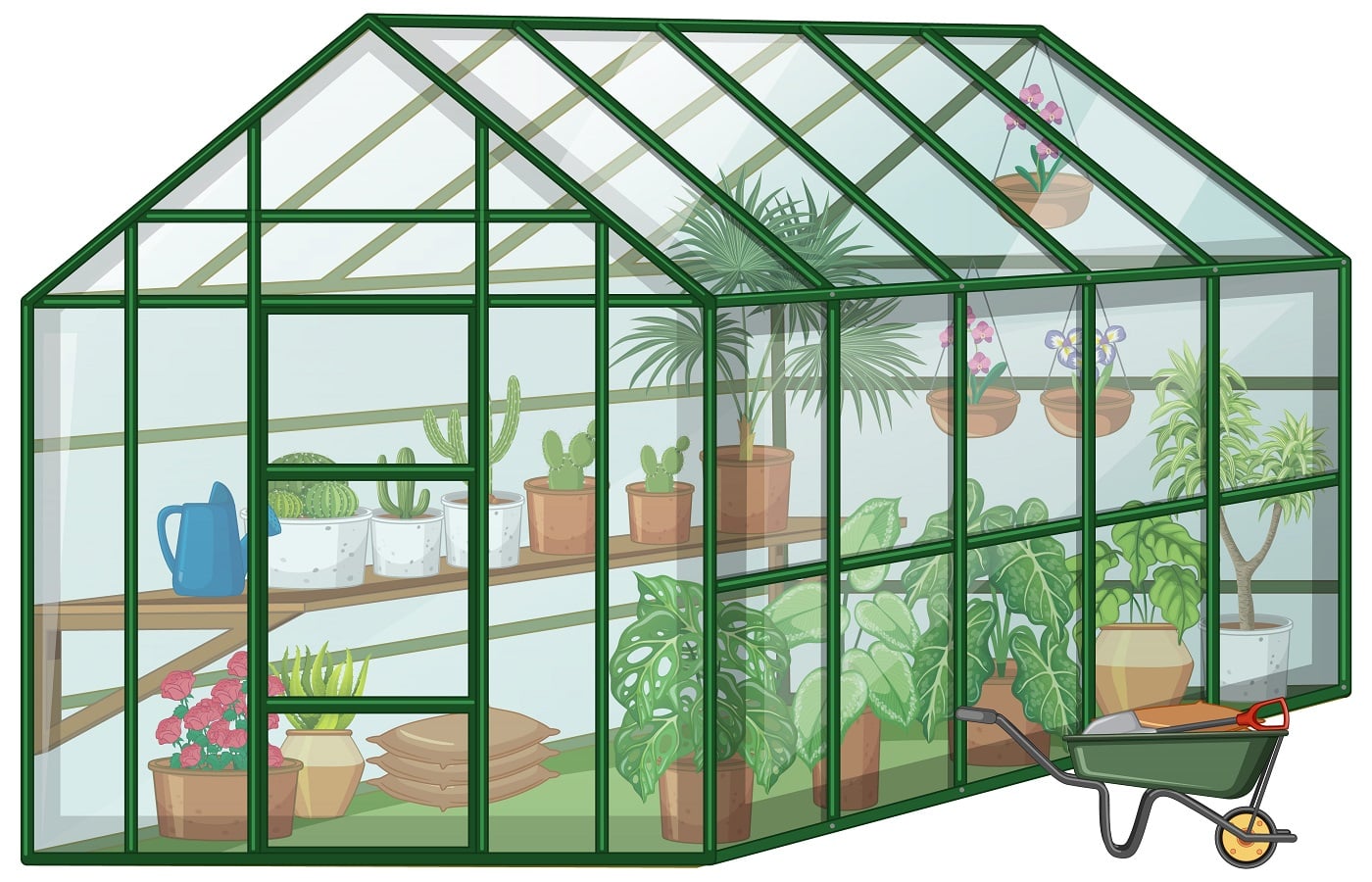 Many Plants in Greenhouse with glass wall and wheelbarrow on white background illustration